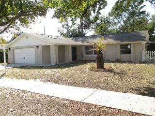 Foreclosed Home - 11725 NATURE TRL, 34668