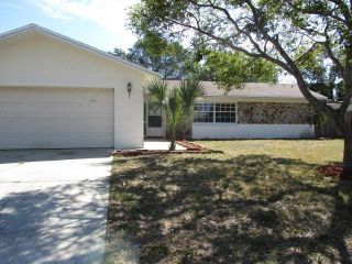 Foreclosed Home - 11140 Island Pine Dr, 34668