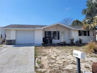 Foreclosed Home - 11215 SNYDER AVE, 34668
