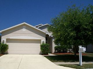 Foreclosed Home - 12143 FALL CREEK CT, 34669