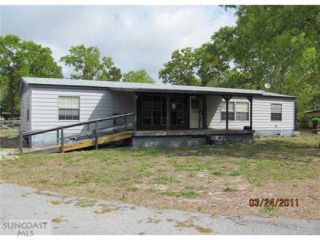 Foreclosed Home - 11909 MARY LOU DR, 34669