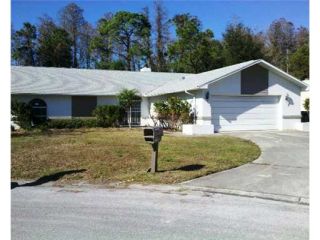 Foreclosed Home - 12709 BALSAM AVE, 34669