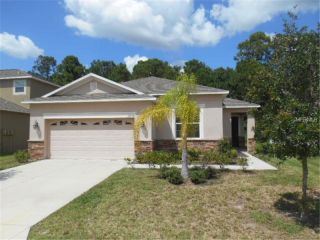 Foreclosed Home - 12854 WHITE BLUFF RD, 34669