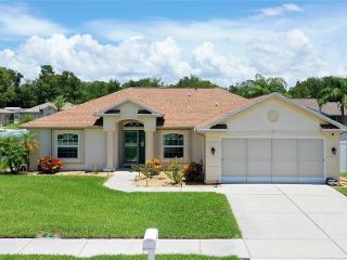 Foreclosed Home - 13628 LIGHTNING ROD CT, 34669