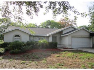 Foreclosed Home - 3937 ERNE ST, 34683