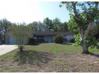 Foreclosed Home - 675 SHADY NOOK DR, 34711