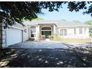 Foreclosed Home - 2801 HAMMOCK GROVE RD, 34736
