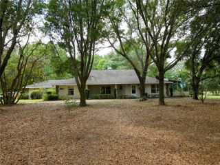 Foreclosed Home - 2800 HAMMOCK GROVE RD, 34736