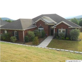 Foreclosed Home - 2406 LITTLE COVE RD, 35763