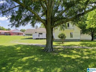 Foreclosed Home - 9130 GALLANT RD, 35972