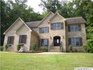 Foreclosed Home - 3319 WYETH DR, 35976