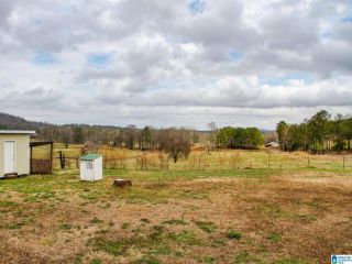 Foreclosed Home - 2356 COUNTY ROAD 81, 36258