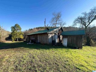 Foreclosed Home - 1060 COUNTY ROAD 203, 36264