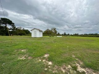Foreclosed Home - 236 COUNTY ROAD 126, 36311