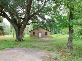 Foreclosed Home - 17440 OLD BRADY RD, 36507