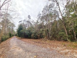 Foreclosed Home - 2749 BEAR FORK RD, 36613