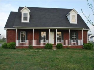 Foreclosed Home - 3122 BEARWALLOW RD, 37015