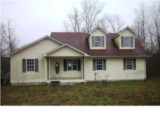 Foreclosed Home - 387 WICHSER RD, 37339