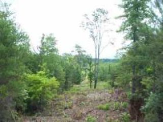 Foreclosed Home - 916 SCENIC RIVER RD, 37354