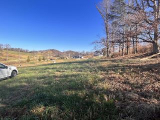 Foreclosed Home - 180 BOONES STATION RD, 37615