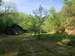 Foreclosed Home - 2810 KNOB CREEK RD, 37713