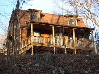 Foreclosed Home - 470 WHITAKER HOLLOW RD, 37769