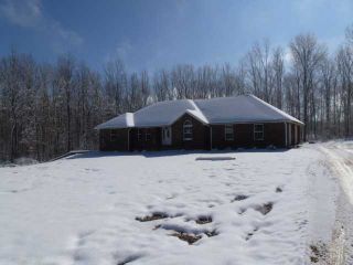 Foreclosed Home - 344 ROLLING MEADOWS LN, 37841
