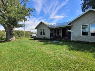 Foreclosed Home - 243 CLEMON RD, 37891