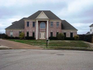 Foreclosed Home - 5005 WINBERRY CV S, 38002