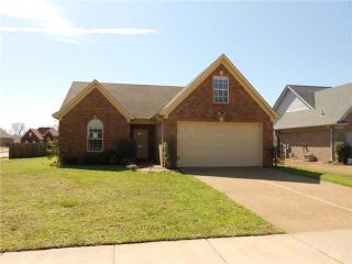 Foreclosed Home - 4835 TICKLE VIEW DR, 38053