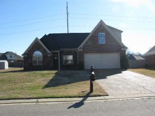 Foreclosed Home - 185 MOSSY SPRINGS DR, 38060