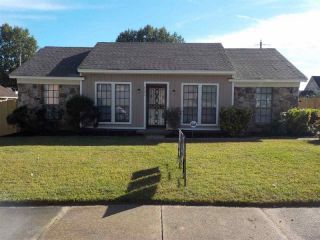 Foreclosed Home - 6593 RED BIRCH DR, 38115