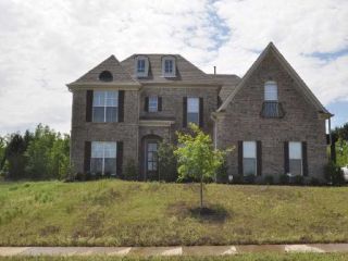 Foreclosed Home - 6127 ABIGAIL BLUFFS DR, 38135
