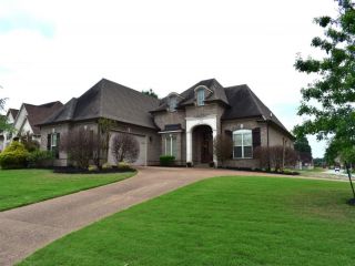 Foreclosed Home - 10 BRANCH CREEK DR, 38305