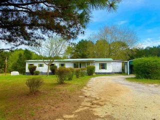 Foreclosed Home - 415 LEO WOODS RD, 38321