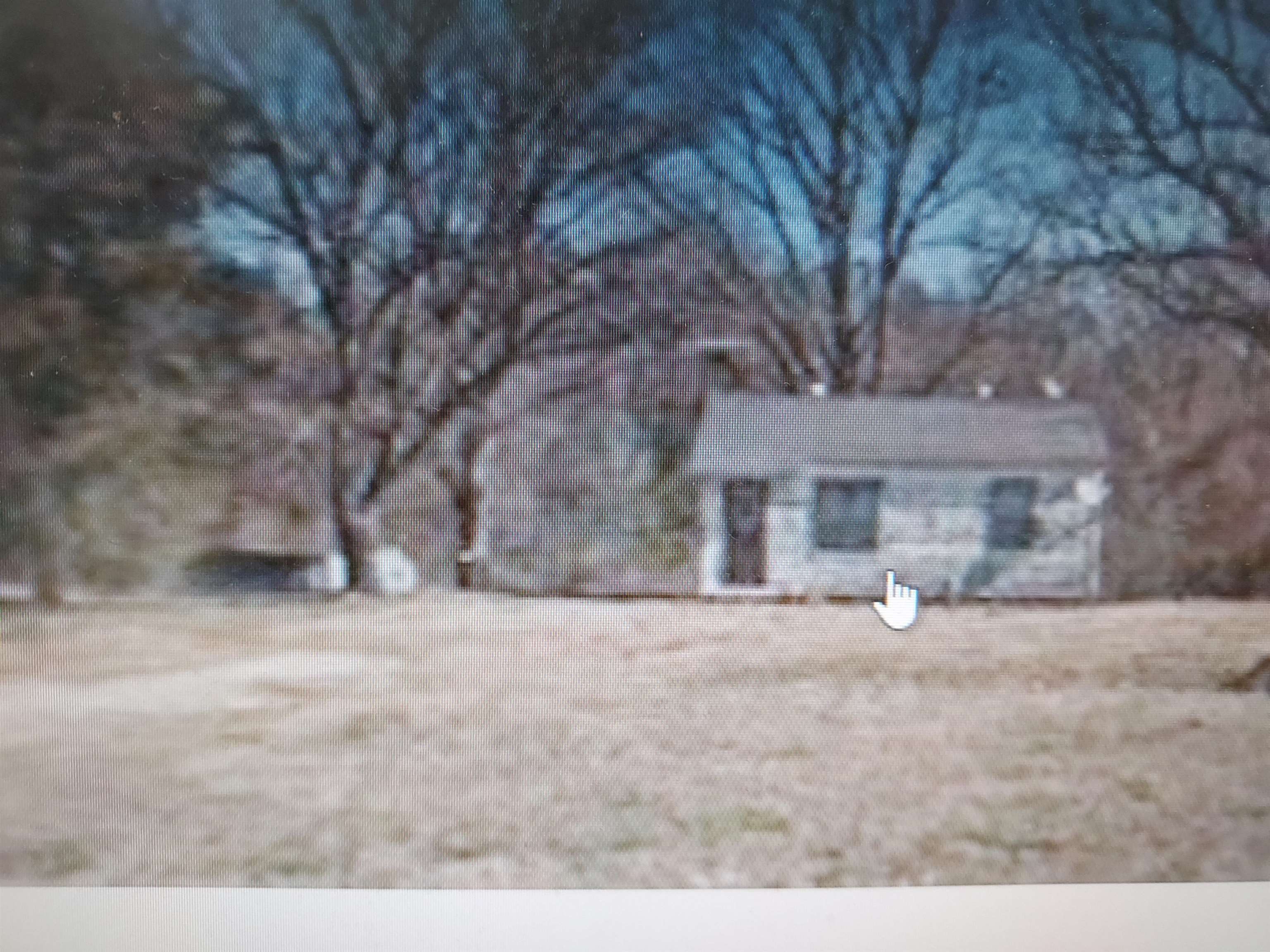 Foreclosed Home - 1793 BRITTON LN, 38391