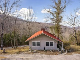 Foreclosed Home - 161 WOOD RIVER LN, 38541