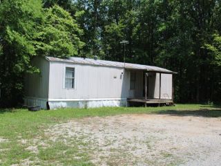 Foreclosed Home - 668 ELLISON GOOLSBY LN, 38545