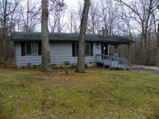Foreclosed Home - 204 LAKESHIRE DR, 38558