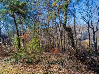 Foreclosed Home - 189 MEADOWVIEW DR, 38558