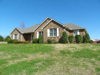 Foreclosed Home - 527 CREEKSIDE PL, 38583