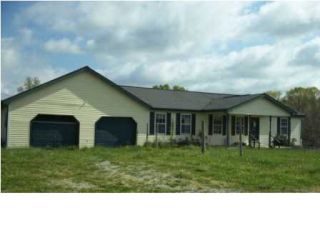Foreclosed Home - 90 CLENDENON RD, 38585