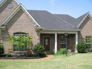Foreclosed Home - 587 RIDGE VIEW DR S, 38632