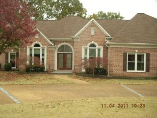 Foreclosed Home - 8196 BRIERFIELD CV, 38654