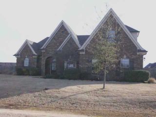 Foreclosed Home - 8186 BARON DR, 38654
