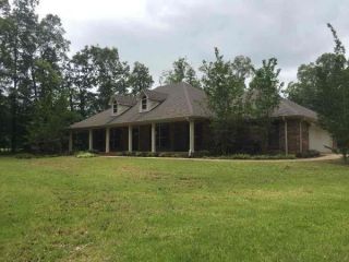 Foreclosed Home - 192 Pauls Drive, 38863