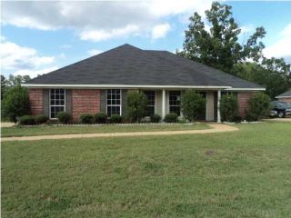 Foreclosed Home - 2074 BRANCH CREEK DR, 39272