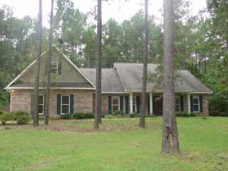 Foreclosed Home - 191 CAMERON RD, 39402