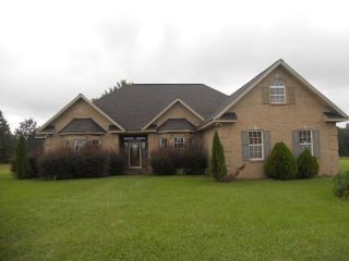 Foreclosed Home - 19 DAVID LN, 39421