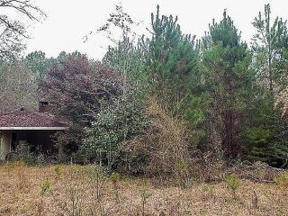 Foreclosed Home - 1209 HILT FORNEA RD, 39470